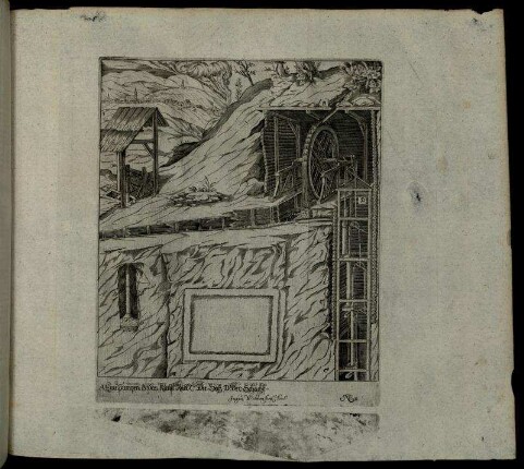 No. 11.