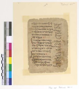 [Psalmodia] : Fragm. copt. Pischoi Psalmod. 45