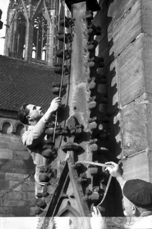 Freiburg: Vermessungen am Münster