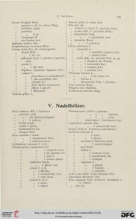 V. Nadelhölzer