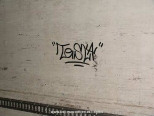 "TeSLA"