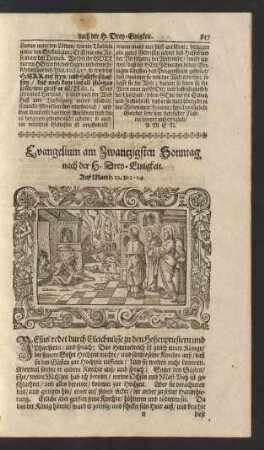 Evangelium am Zwantzigsten Sonntag nach der H. Drey-Einigkeit. ...