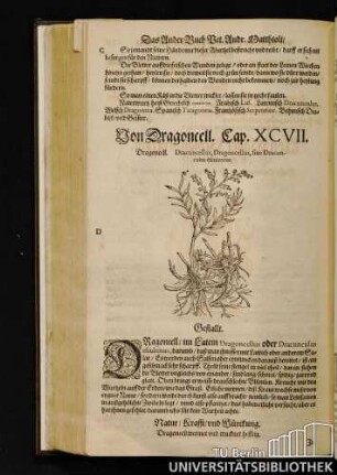 Cap. XCVII. Von Dragoncell.