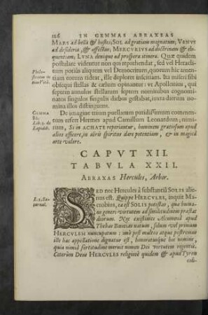 Caput XII. Tabula XXII.
