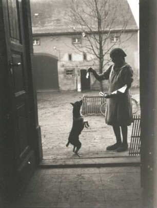 Bauernhof. Frau beim Füttern eines Hundes