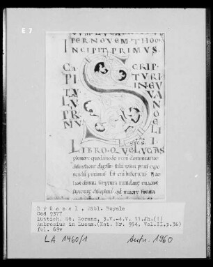 Ms 9377, Ambrosius in Lucam
