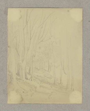 Waldweg