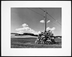 Foto, Krefeld