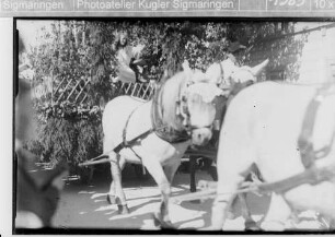 Landwirtschaftsausstellung Sigmaringen; Umzugswagen