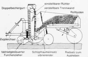 Schemazeichnung: Kartoffel, Kartoffellegemaschine