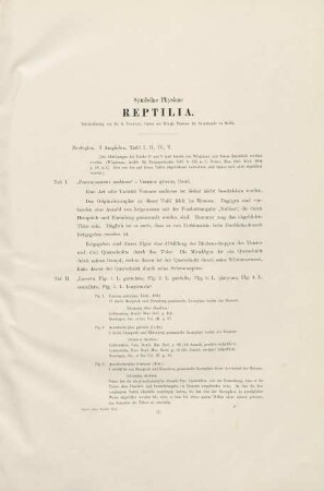 Reptilia