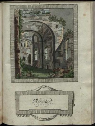 Nachteule.