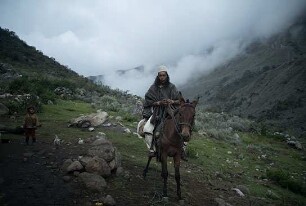 Thinking Like a Mountain