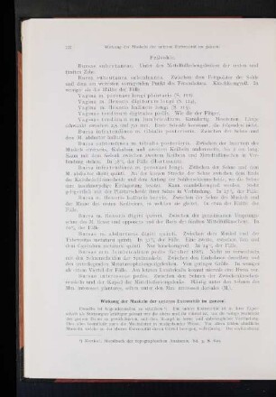 Wirkung der Muskeln der unteren Extremität im ganzen: [...]