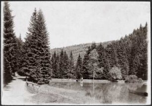 Oberhof. Partie am Silberteich