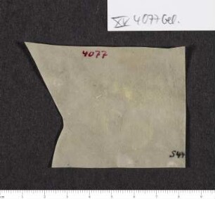 CIL XV 4077 β, Gelatinefolie