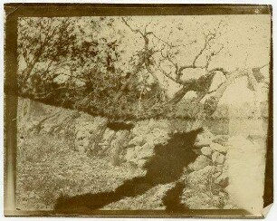 [Weinberg, wohl Hebron]