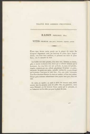 Raisin Précoce. Duh. Vitis Praecox ...