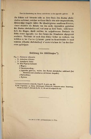 Anatomische, zoologische ... Abhandlungen in Separatabdrücken aus den Sitzungsberichten der math. naturwiss. Classe d. k. k. Akad. der Wissenschaften zu Wien : in 3 voll., 39