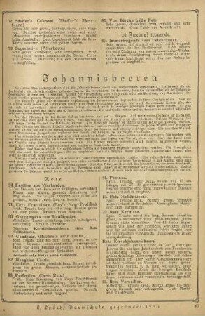 Johannisbeeren