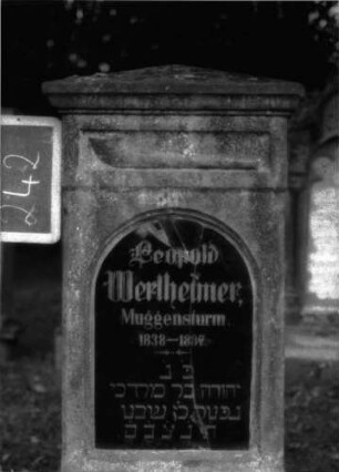 Grabstein 242