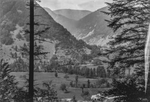 Bergpanorama : Blick auf Waldflächen an Berghängen und auf einzelnen Baumbestand im Tal auf Wiesengrund