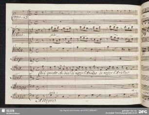 Quartetto: Chi è questo che dice di nozze