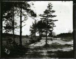 Wald- und Ackerlandschaft in Osteuropa