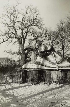 Schönfeld, Pechhütte