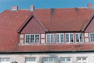 ehemaliges Gut Trenthorst-Wulmenau: Zentrale: Wulmenau 6: traufständiges Mehrfamilienwohnhaus: Straßenfront, Detailaufnahme: Schleppgaube, beiderseits Giebelgauben