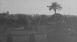Garten des Generalgouverneurs in Khartum [Reise nach dem Sudan, Band 1]