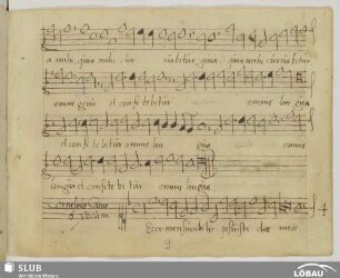 Canis, Cornelius: Ecce mensurabiles posuisti