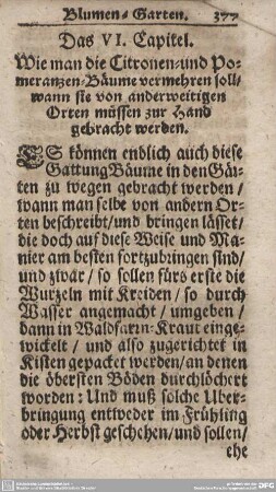 Das VI. Capitel. Wie man die Citronen- und Pomeranzen-Bäume vermehren soll/wann sie von anderweitigen Orten müssen zur Hand gebracht werden.