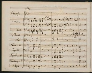 Allegro [NB: S. 115-140 falsch eingebunden]