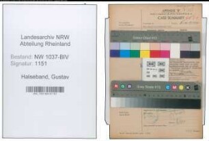 Entnazifizierung Gustav Halseband , geb. 04.04.1892 (Versandleiter)