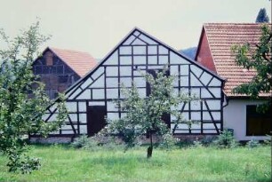 Giebelwand einer renovierten Fachwerkscheune, Obstbäume