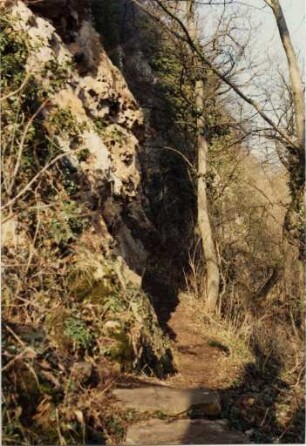 Am Ölberg