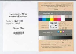 Entnazifizierung Max Strege, geb. 09.12.1900 (Beamter)