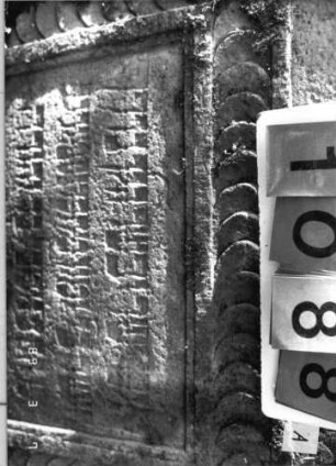 Grabstein 1088 (Index: 99753299) Material: Sandstein Zustand: verwitt/Stele eingesunken Maße HxBxT: 94x78x14 cm Beschreibung: Stele, doppelt eingezog. Rundbogenabschl. , rechteck. Schriftfeld eingetieft Symbolik: stilisierte Muschel, Raute, Scheibenfries: Grabstein 1088A