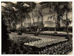 Ausstellungsgarten Deutsche Gartenbau-Ausstellung 1933, Berlin: Innenansicht Ausstellungshalle, Frühlingsgarten mit Birken