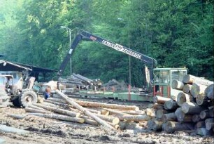 Maschinen und Baumstämme im Sägewerk