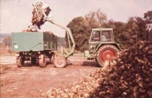 Fotografie: Traktor, Traktorkonzept, Geräteträger, Frontlader, Be- und Entladen, Zuckerrübe