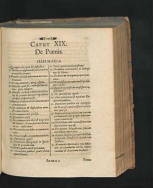 Caput XIX. De Poenis.