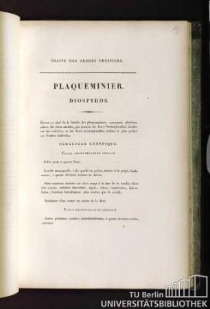 Plaqueminier. Diospyros.