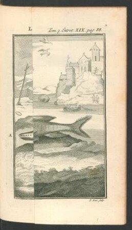 Tafel: Les Poissons qui passent de la mer dans les rivieres.