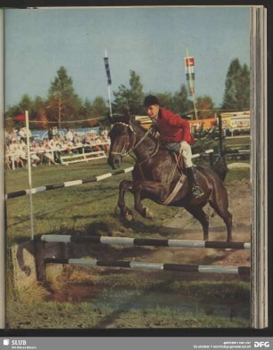 Reitsport