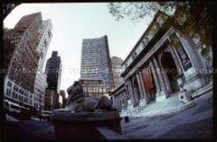 New York - 5. Avenue, Libarry