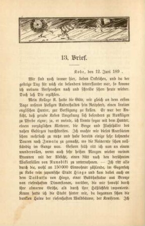 13. Brief