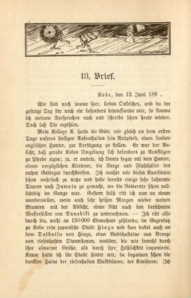 13. Brief