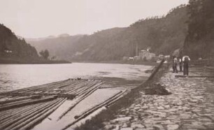 Ufer der Elbe mit Floßbauplatz. Flößer ziehen Stammholz zum Wasser : Laube bei Tetschen-Bodenbach. Ufer der Elbe mit Floßbauplatz. Flößer ziehen Stammholz zum Wasser